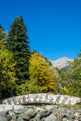 Similar image 12198681