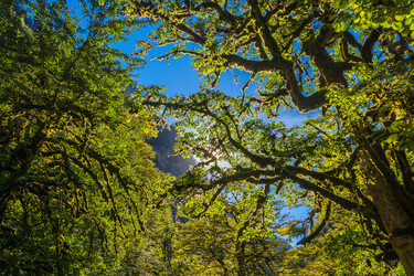 Similar image 12198682