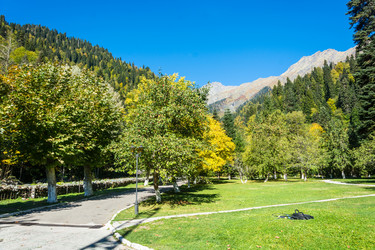 Similar image 12198683