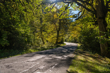 Similar image 12198689