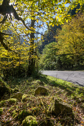 Similar image 12198690