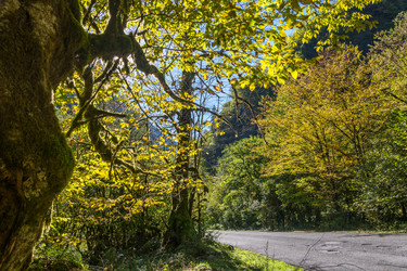 Similar image 12198697