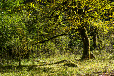 Similar image 12198698