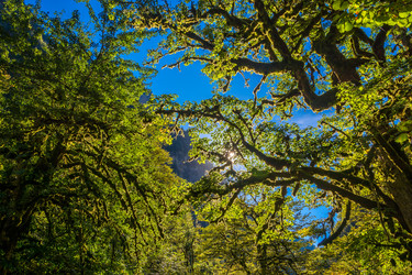 Similar image 12198699