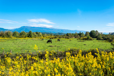 Similar image 12198705