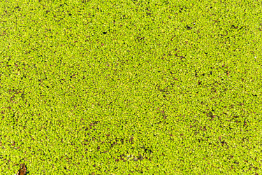 Similar image 12198710