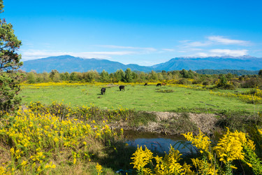 Similar image 12198711