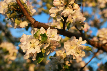 Similar image 12206251