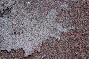 Similar image 12206351