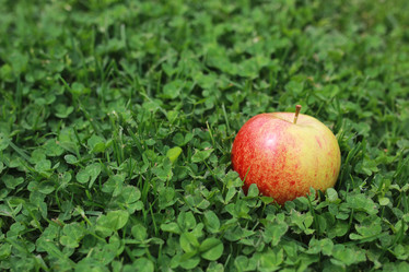 Similar image 12217863