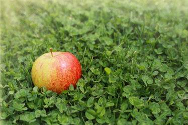 Similar image 12217981