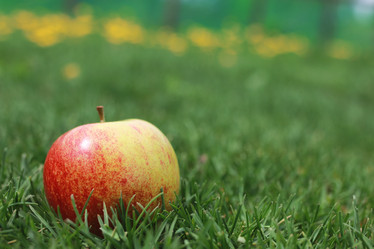 Similar image 12218040