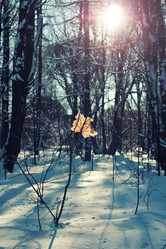 Similar image 12206798