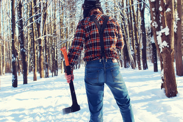 Similar image 12206669