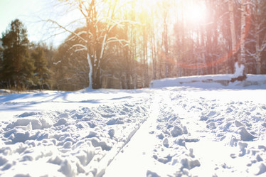 Similar image 12212293