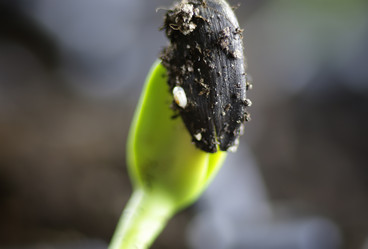 Similar image 12205958