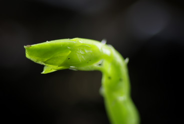 Similar image 12206039