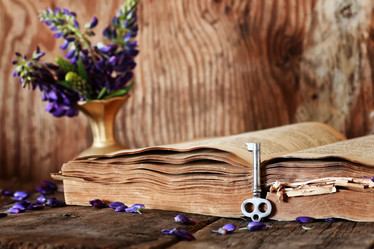 Similar image 12205961