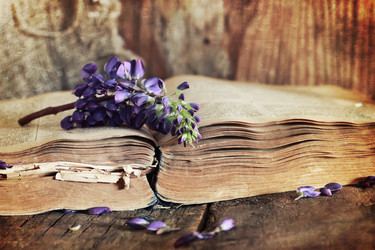 Similar image 12206294