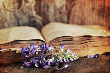 Similar image 12206413