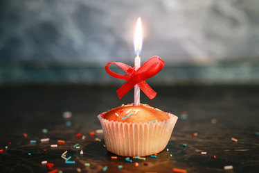 Similar image 12206473