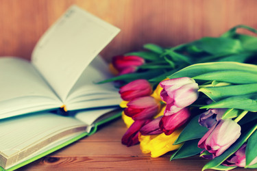 Similar image 12206969