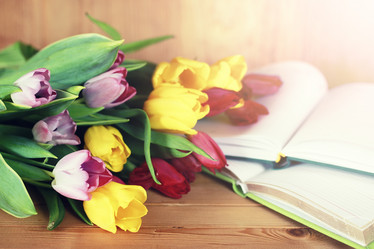 Similar image 12212295