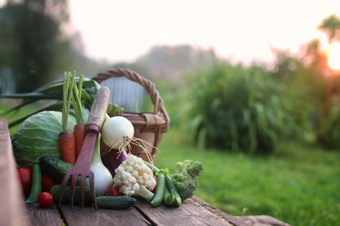 Similar image 12206929