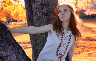 Similar image 12206953