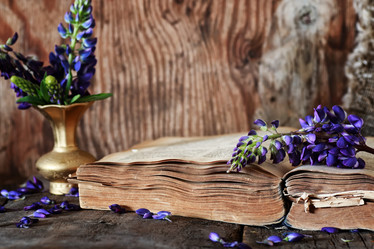 Similar image 12212298