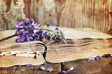 Similar image 12217873