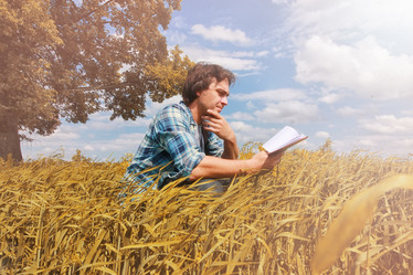 Similar image 12219133