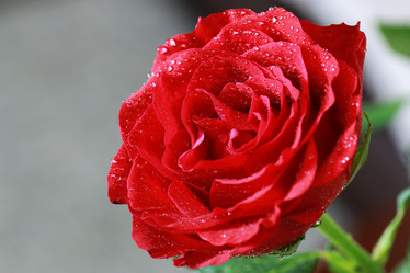 Similar image 12206124