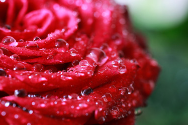 Similar image 12206141