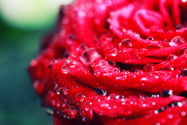 Similar image 12206236