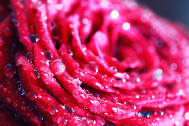 Similar image 12206158