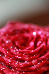 Similar image 12206319