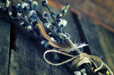 Similar image 12206339