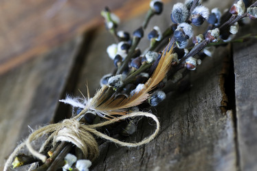 Similar image 12206475