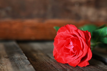 Similar image 12206198