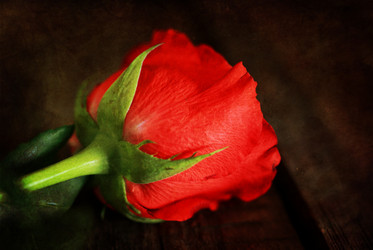 Similar image 12212301