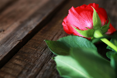 Similar image 12212302