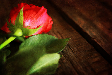 Similar image 12217877