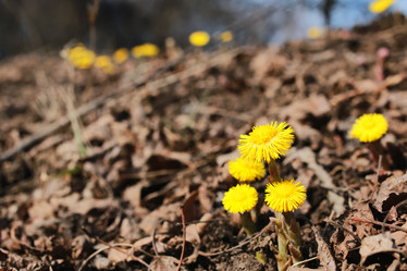 Similar image 12206635