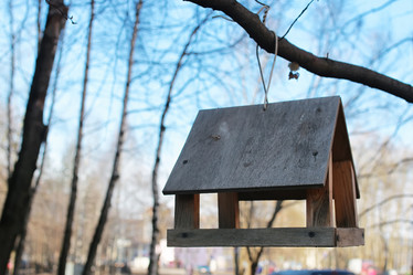 Similar image 12206694