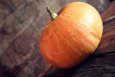 Similar image 12206461