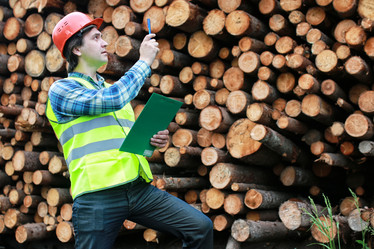 Similar image 12206717