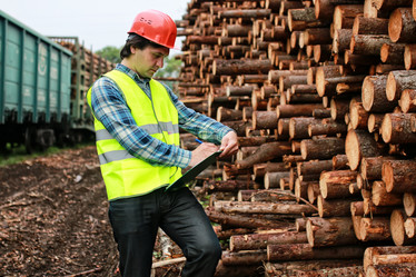 Similar image 12206896