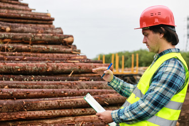 Similar image 12206933