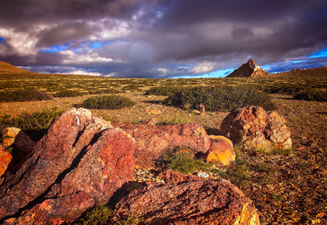 Similar image 12208400